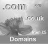 Domain Name Registrtion